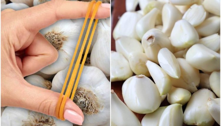 Easy-method-to-Garlic