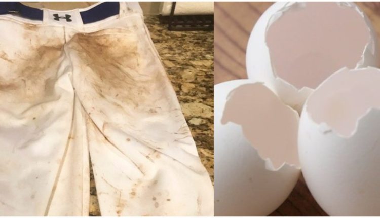 Easy Tip To Dress Whitening Using Egg Shells Video Viral